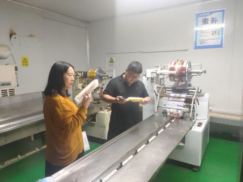 新密市劉寨鎮(zhèn)市場監(jiān)管所開展食品生產(chǎn)企業(yè)夏季專項(xiàng)檢查